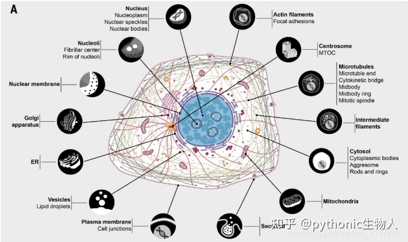 那些标致的sci论文图一般用什么软件建造的？-2.jpg