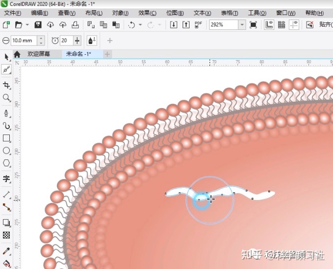 CorelDRAW绘图课程 一试就会，带你轻松绘制磷脂双份子层 ...-16.jpg