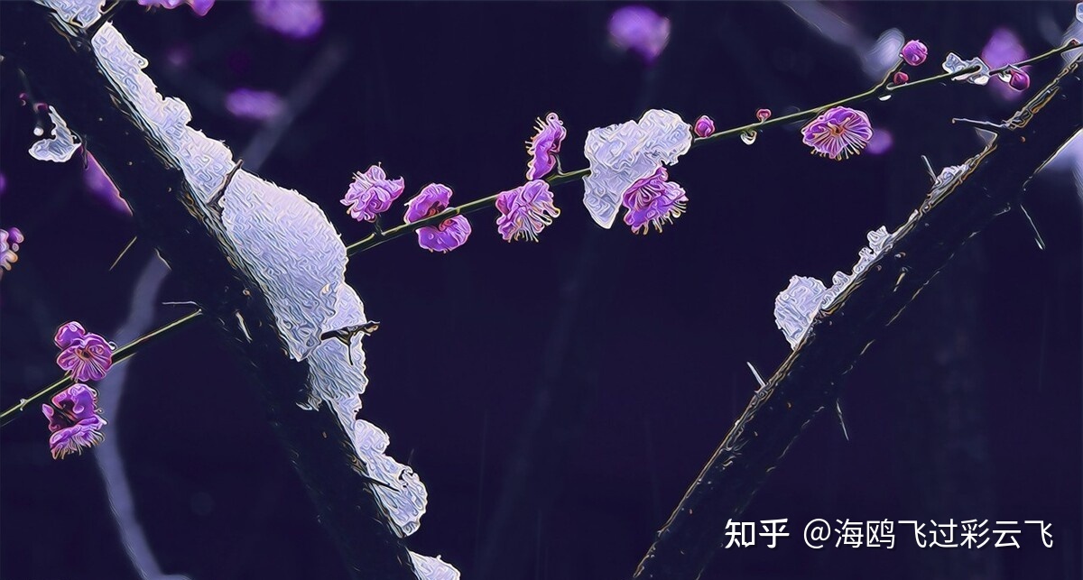 砌着落梅如雪乱，拂了一身还满-4.jpg