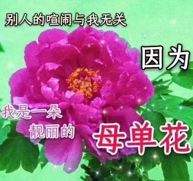 有什么合适情人节发的沙雕文案?-21.jpg