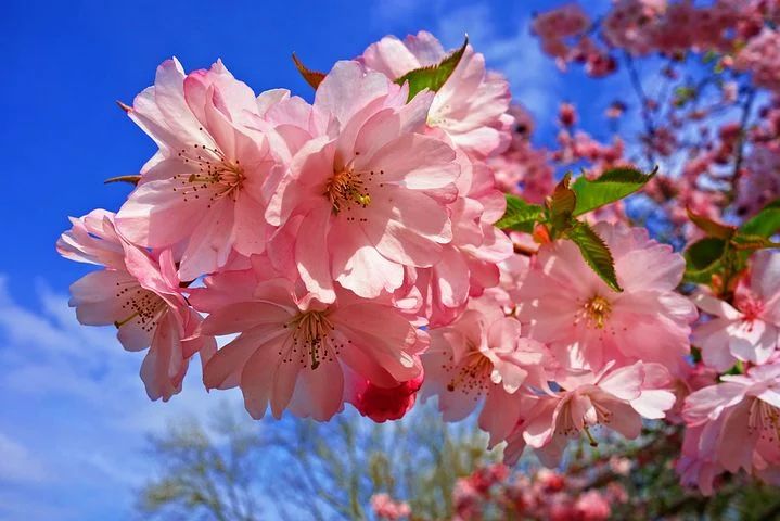 有哪些冷艳时光的女神节文案？-3.jpg