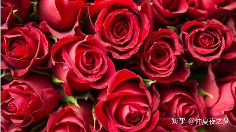 3月8日女神节最火爆的文案！-5.jpg