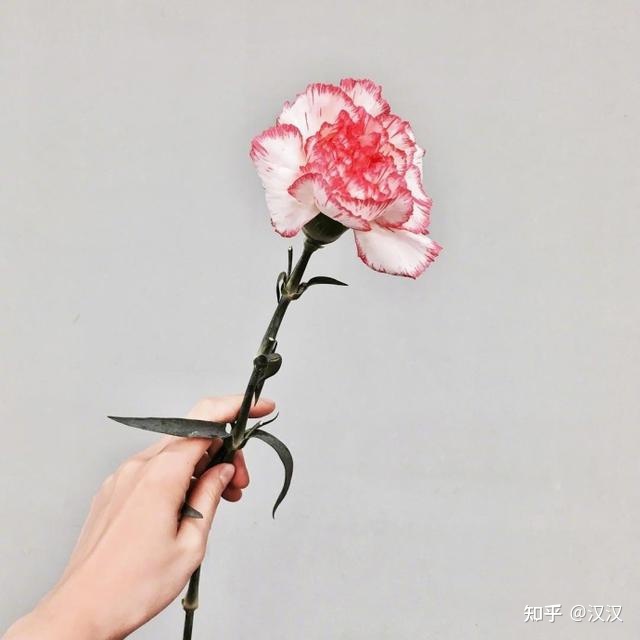 2020年三八妇女节祝愿语，简短温馨，女王节快乐！-1.jpg