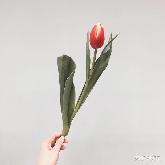 2020年三八妇女节祝愿语，简短温馨，女王节快乐！-4.jpg