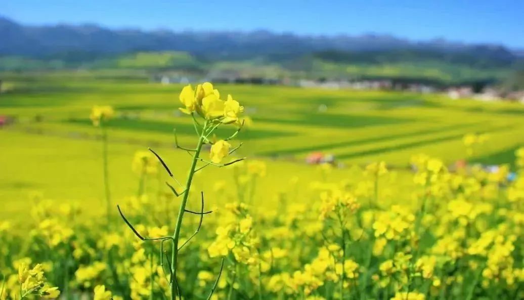 38个三八节/女神节活动主题，你拿来就能用！-1.jpg