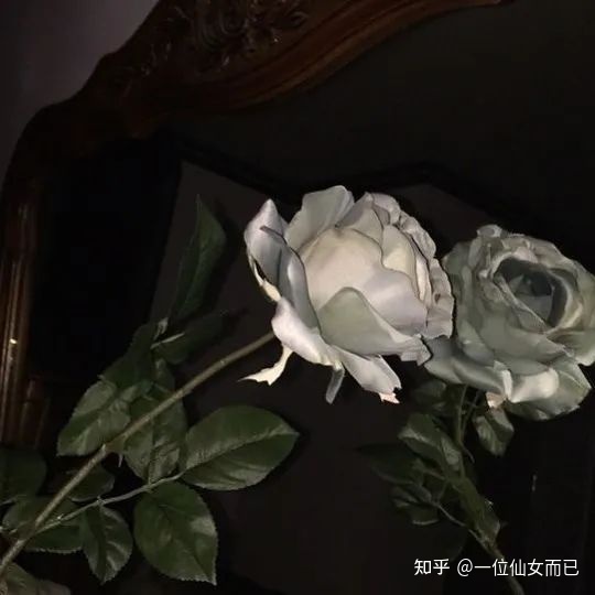 20条不烂大街的女生节 / 女神节文案-8.jpg