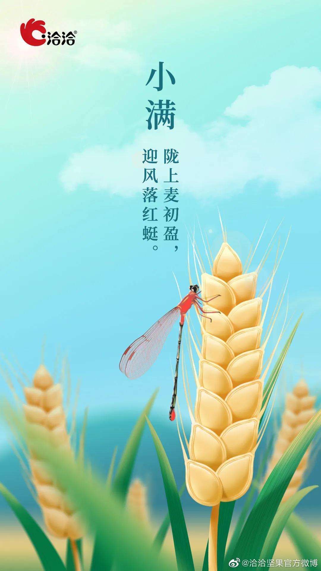 “小满节气”各大品牌借重文案，创意灵感来了！-30.jpg