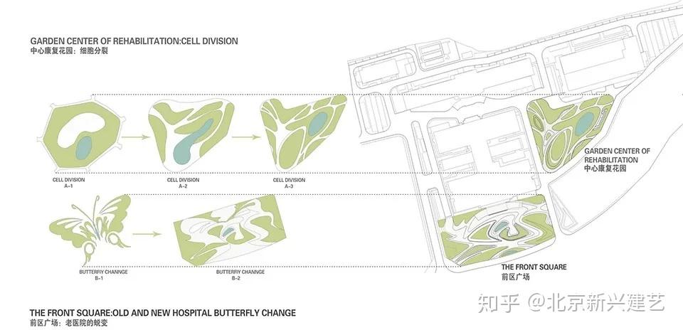 央美景观 | 平面图篇——形式手法-13.jpg