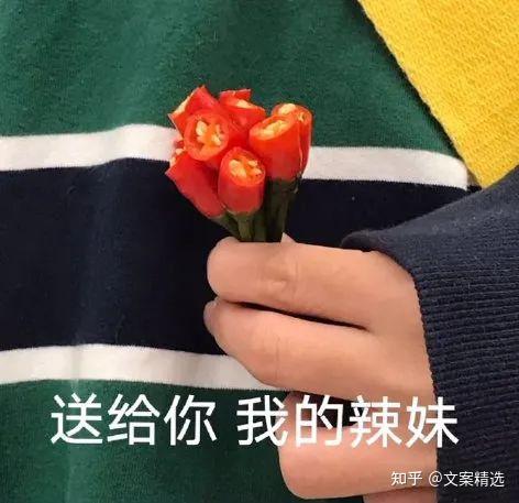 41句神反转文案，在愚人节笑出猪叫！-5.jpg